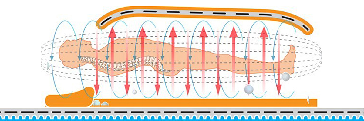 赢家体育健康睡眠系统