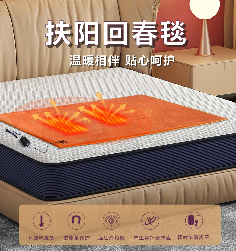 楚逸康 扶阳回春毯